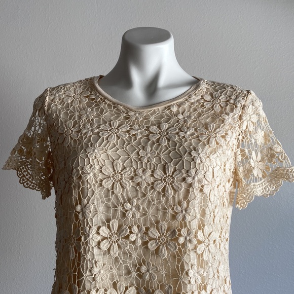 Ann Taylor Short Sleeve Crochet T-shirt Cream Size M - Picture 6 of 10